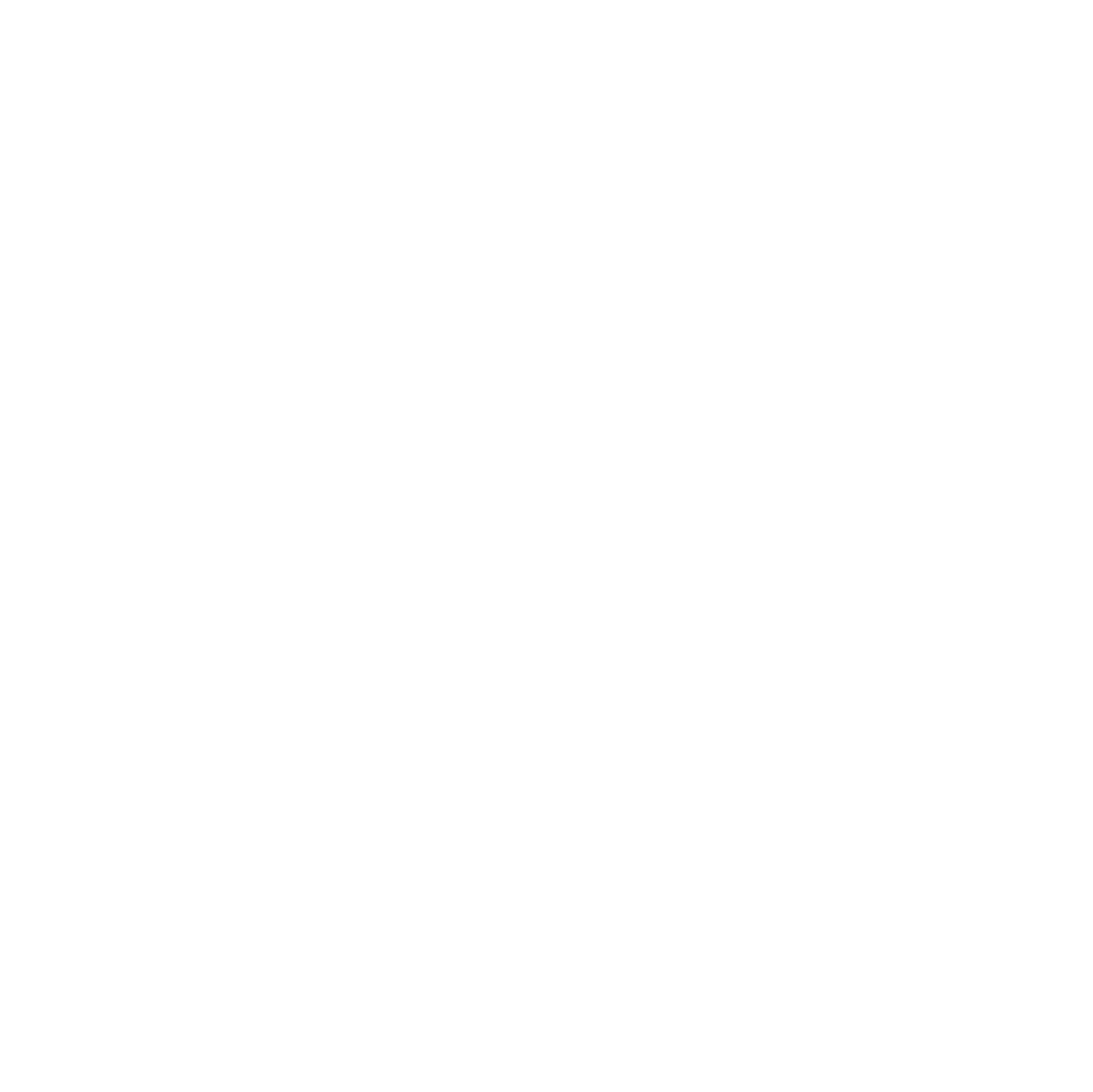 Enairko Logo Footer